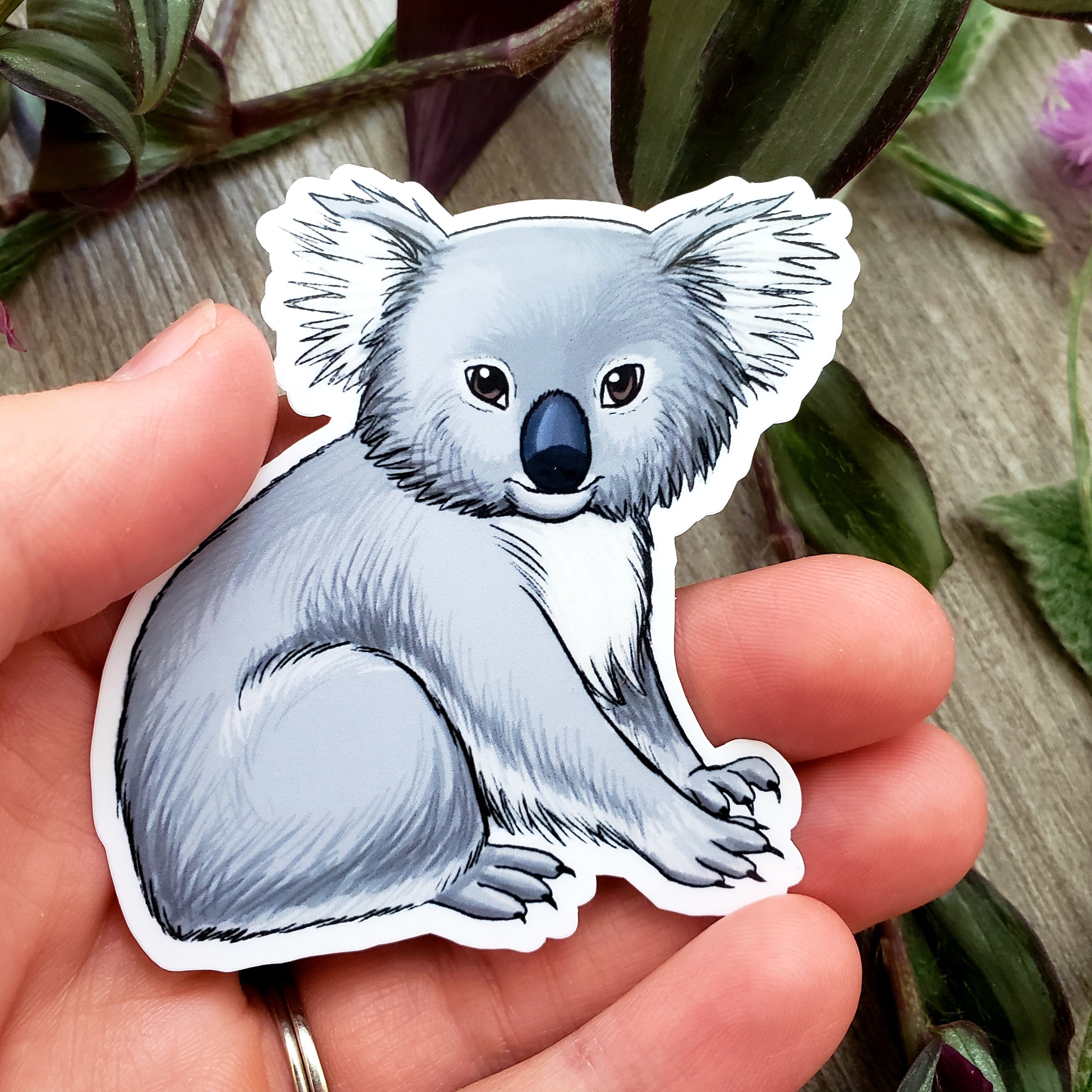 Koala Vinyl Sticker