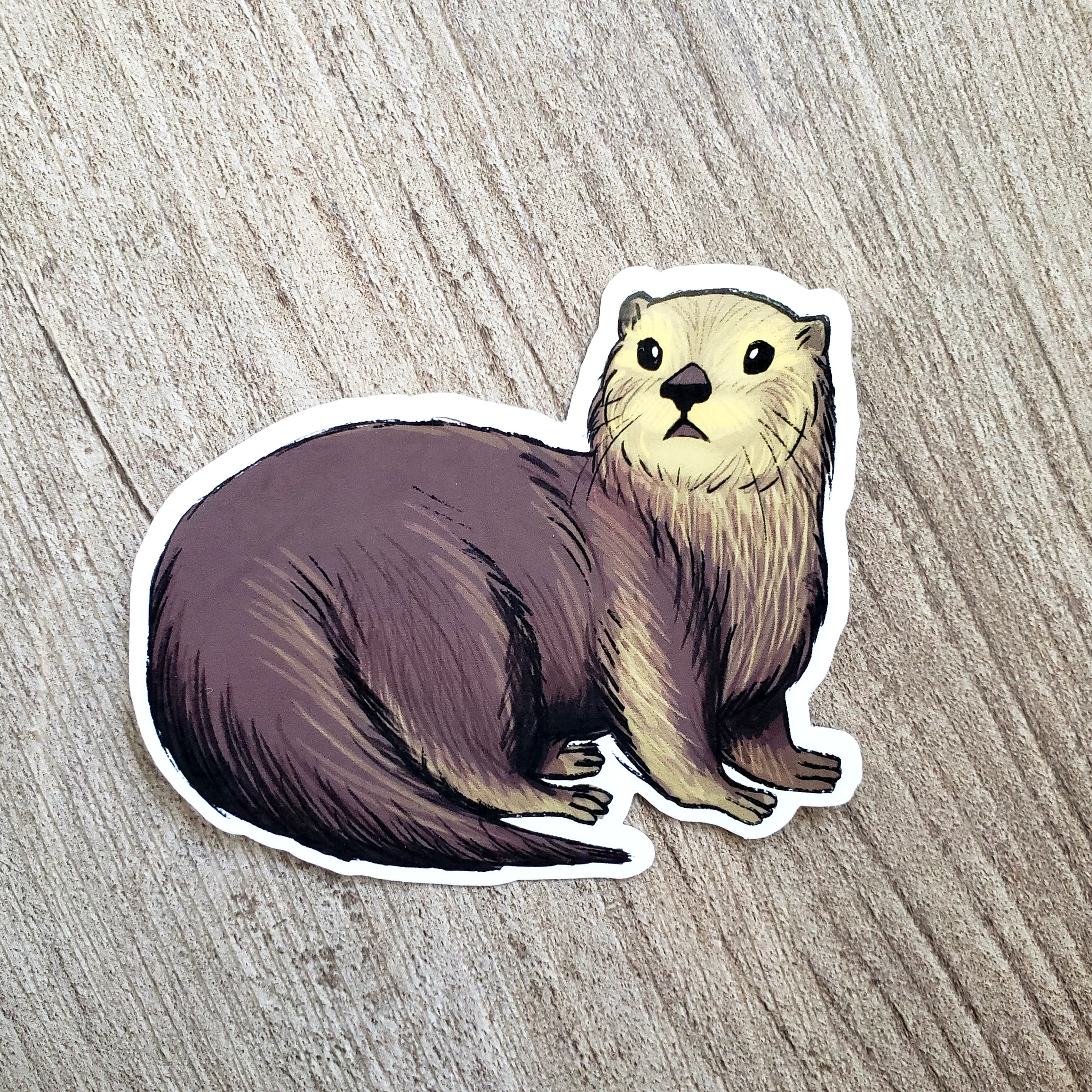 Sea Otter Vinyl Sticker