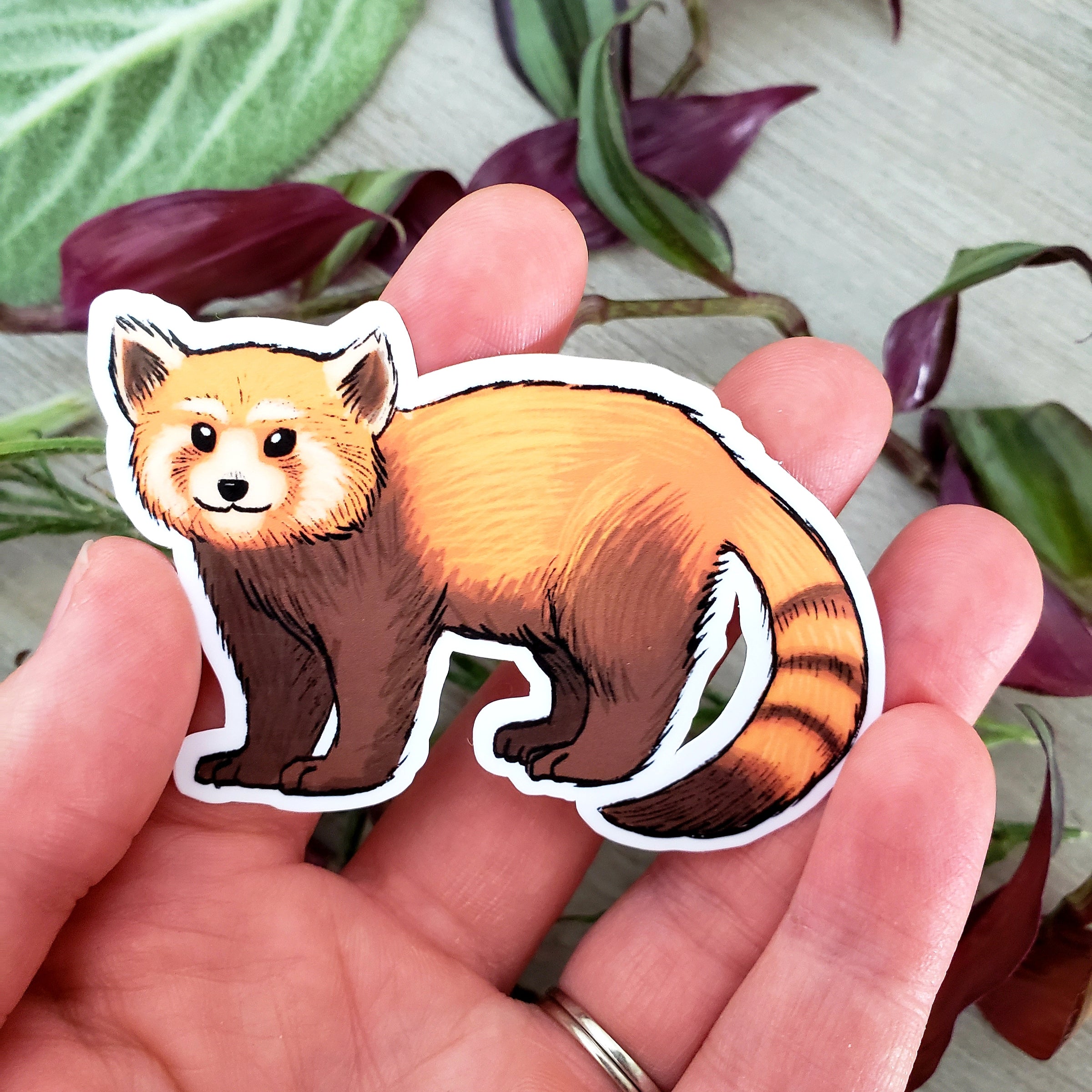 Red Panda Vinyl Sticker