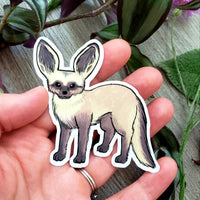 Bat-eared Fox Vinyl Sticker