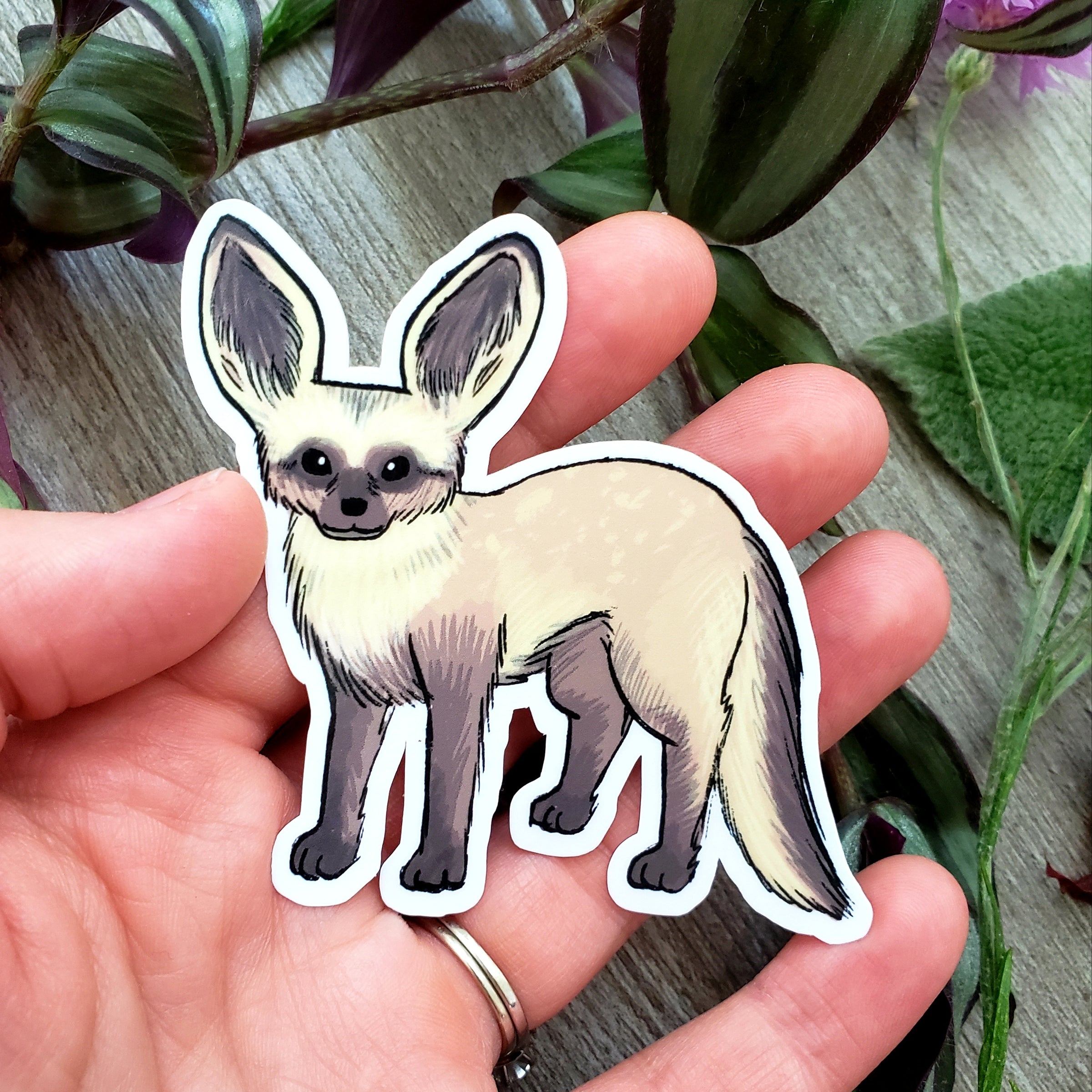 Bat-eared Fox Vinyl Sticker
