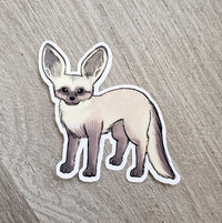 Bat-eared Fox Vinyl Sticker