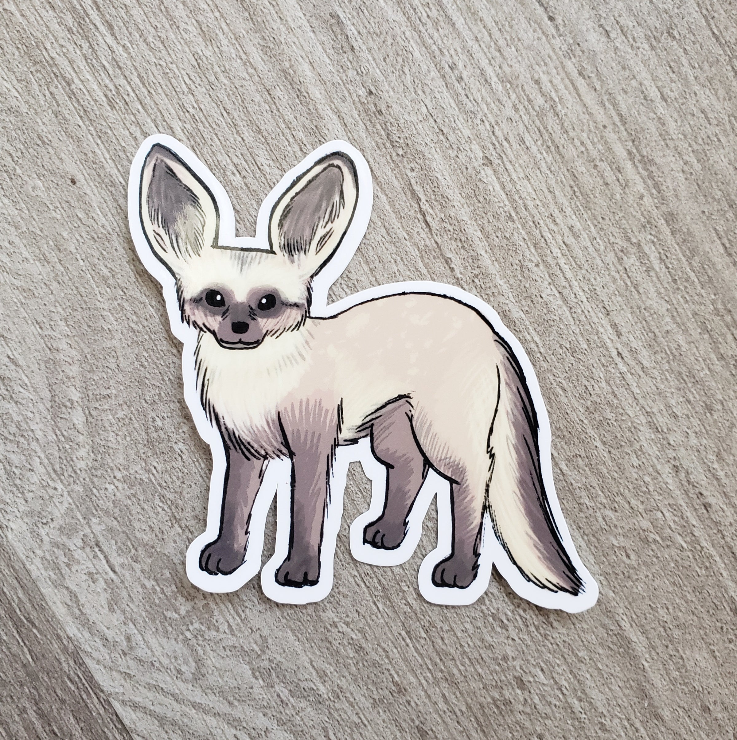 Bat-eared Fox Vinyl Sticker