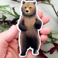 Grizzly Bear Vinyl Sticker