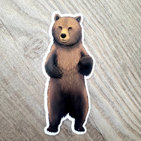 Grizzly Bear Vinyl Sticker