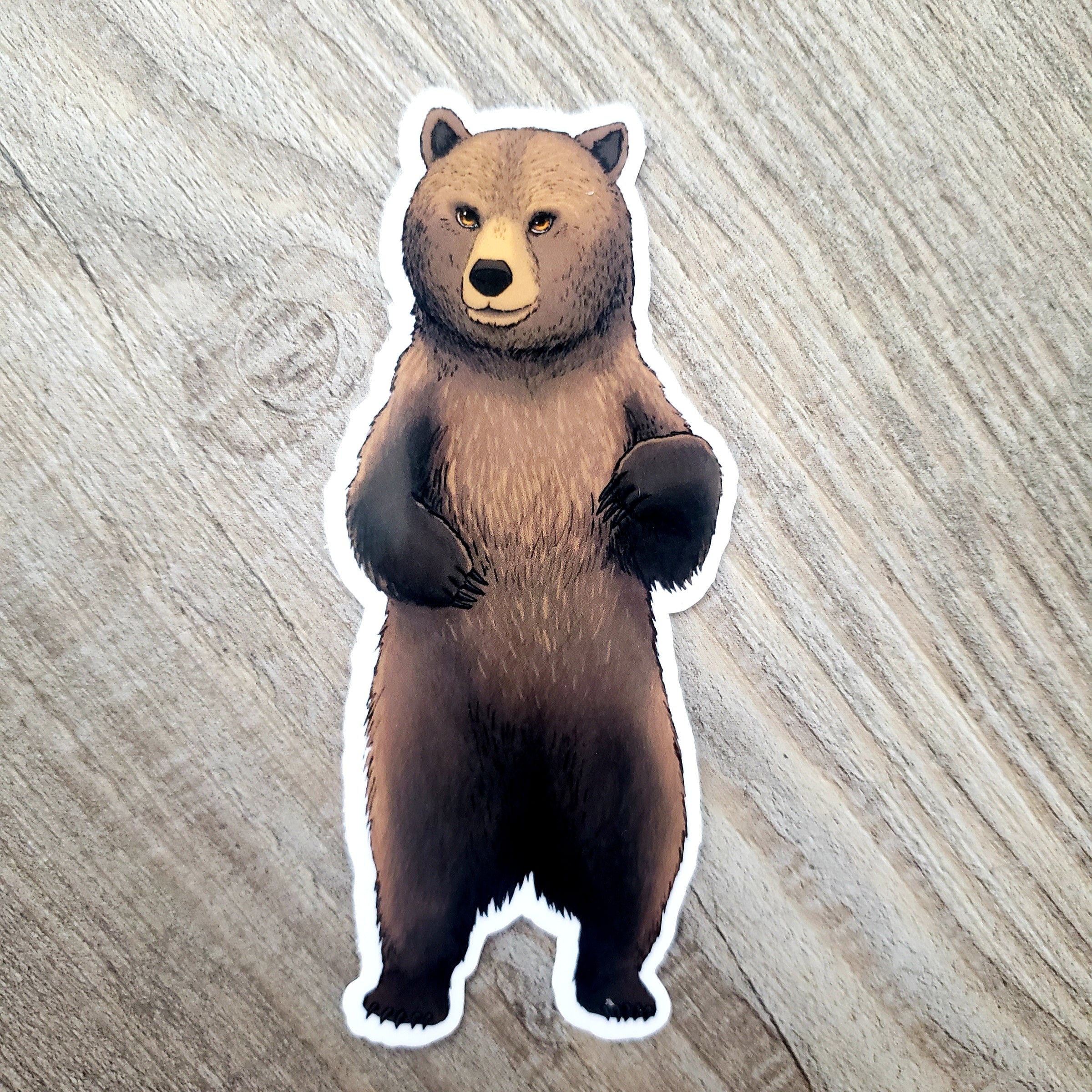 Grizzly Bear Vinyl Sticker