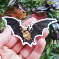Little Brown Bat Vinyl Sticker