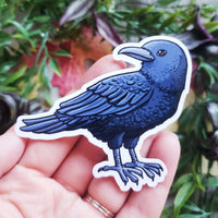 Crow Vinyl Sticker