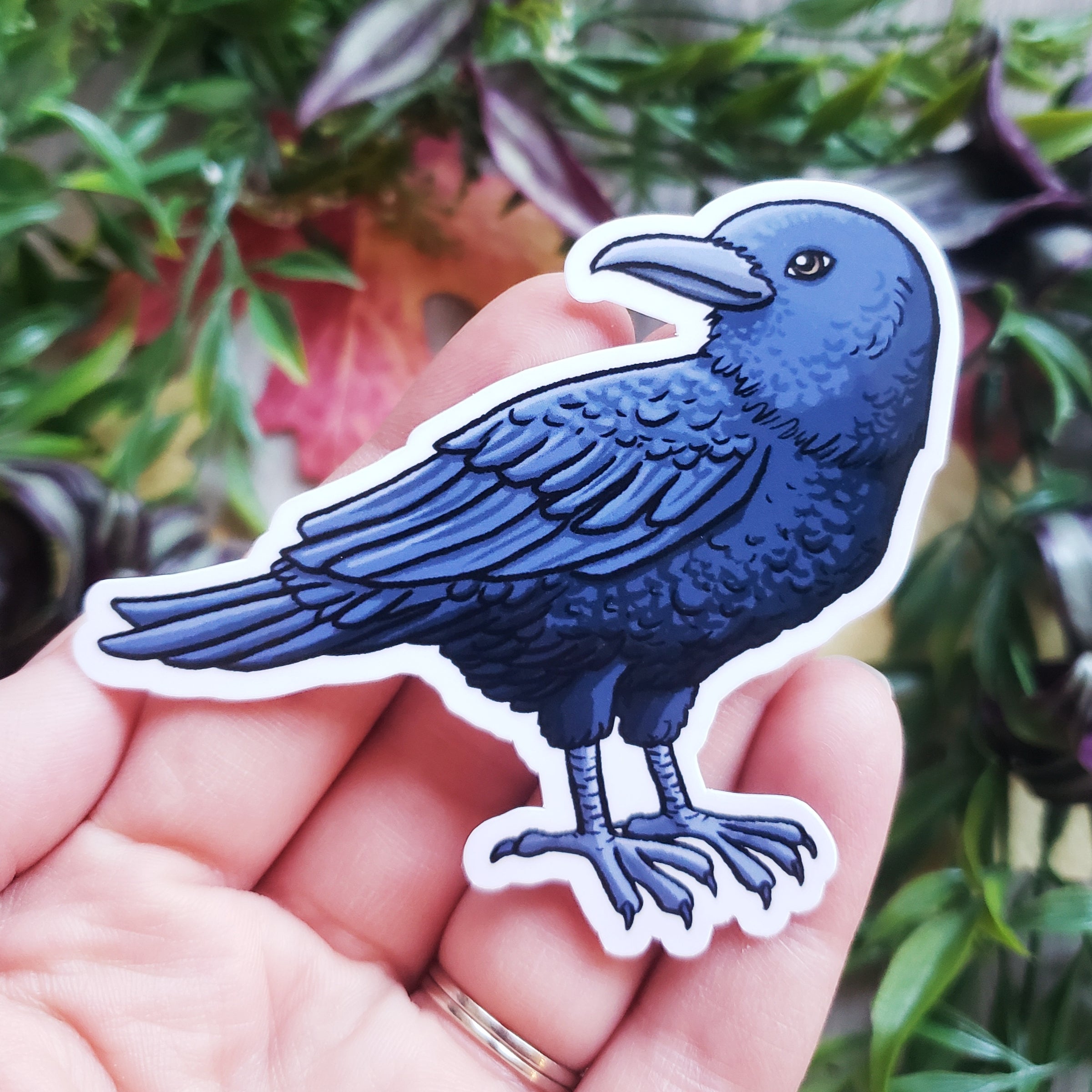 Crow Vinyl Sticker