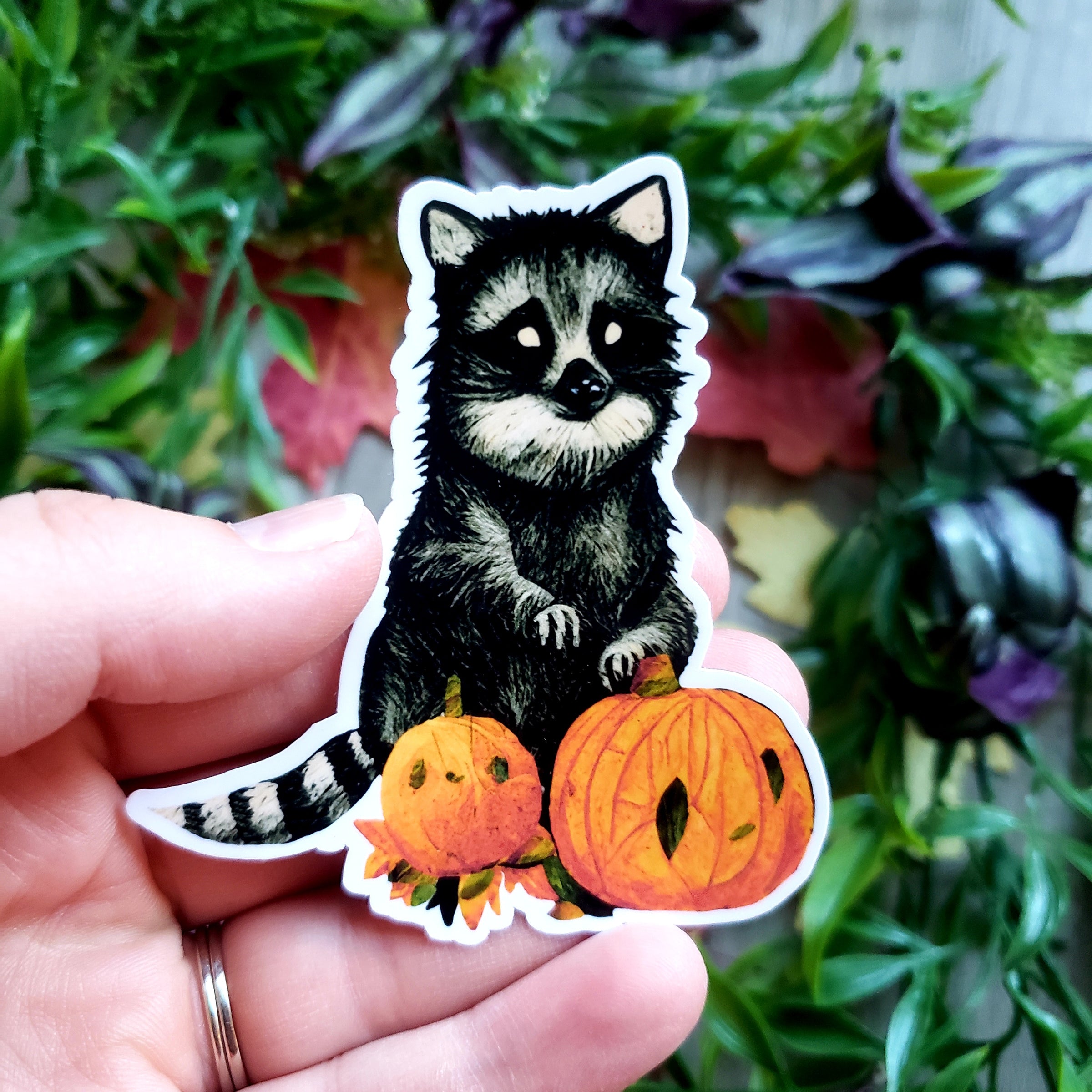 Vintage Halloween Racoon Vinyl Sticker