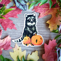Vintage Halloween Racoon Vinyl Sticker