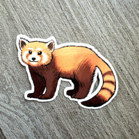 Red Panda Vinyl Sticker