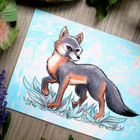 Gray Fox Fine Art Print