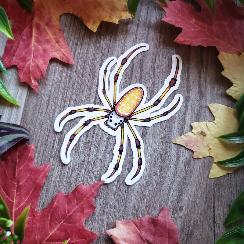 Golden Silk Orb-weaver Spider Vinyl Sticker