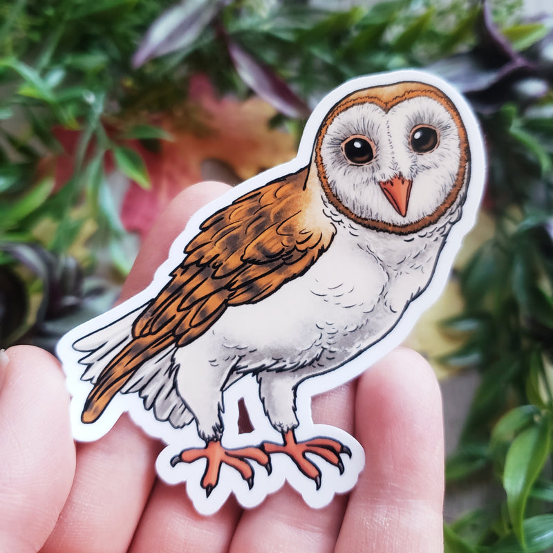 Barn Owl Vinyl Sticker